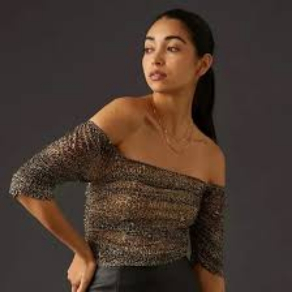 Anthropologie Tops - Anthropolgie Top Animal Print Shirred Mesh Top Size XL NWT